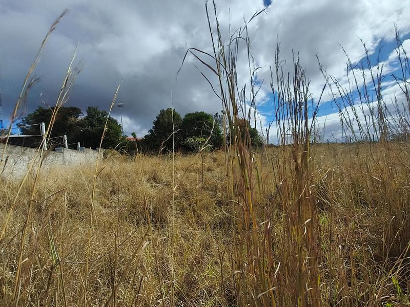0 Bedroom Property for Sale in Myezo Park Eastern Cape
